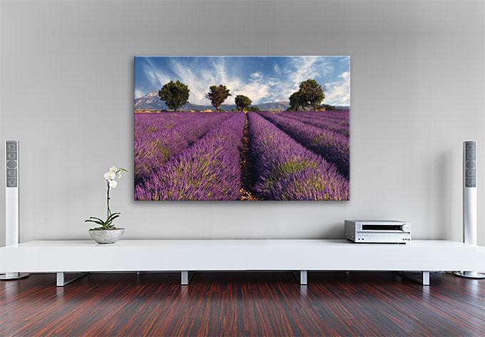 Produktbild Trenddeko Lavendelfeld (100 x 70 cm)