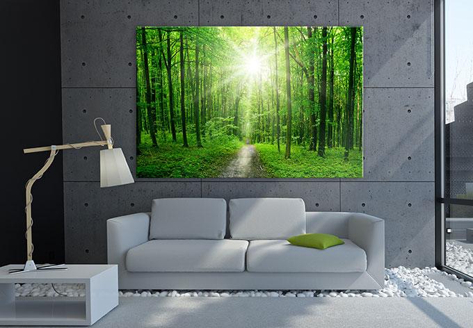 Image du produit Trenddeko Sunny Forest (150 x 100 cm)