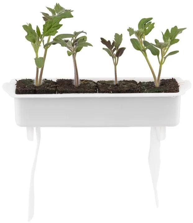 Immagine prodotto Véritable Seedling Kit