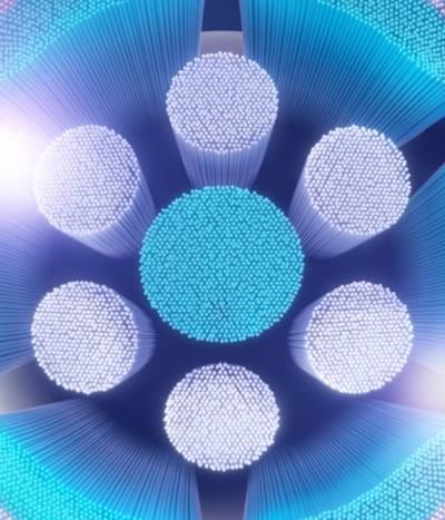 Image du produit Oral-B iO Nettoyage en douceur (2 x)