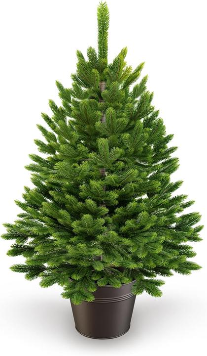 Artitree Künstlicher Weihnachtsbaum 40 cm im Topf (40 cm)