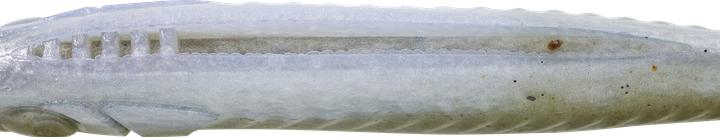 Produktbild Caperlan Gummikoeder Shad 12 cm (12 cm)