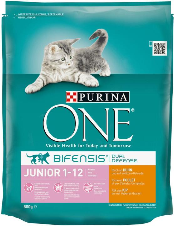 Purina ONE Trockenfutter (Junior, 1 Stk., 800 g)