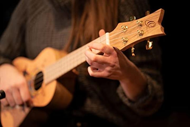 Immagine prodotto Ortega Serie d'arte (Concertistico)