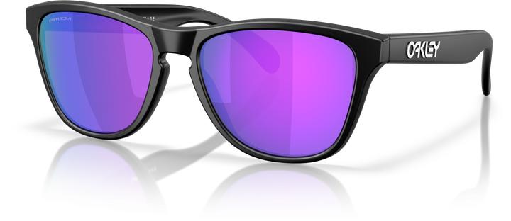 Produktbild Oakley Frogskins S