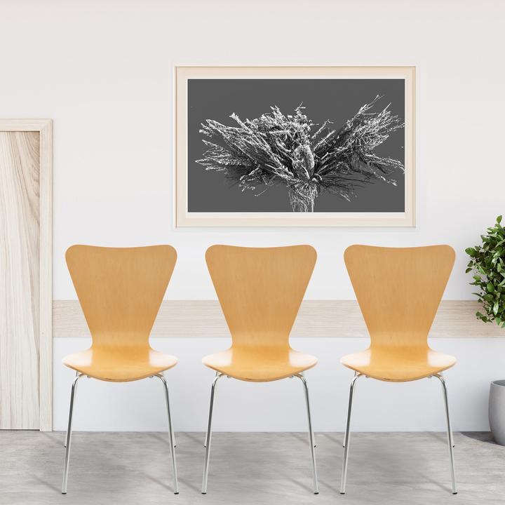 Image du produit CLP Calisto