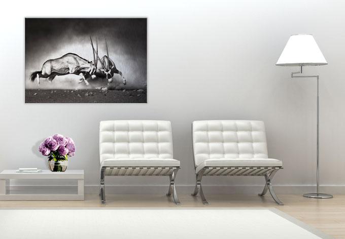 Produktbild Trenddeko Das Duell (100 x 70 cm)