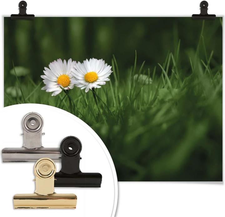 Produktbild Trenddeko Ben Heine - Zwei Gänseblümchen (60 x 50 cm)