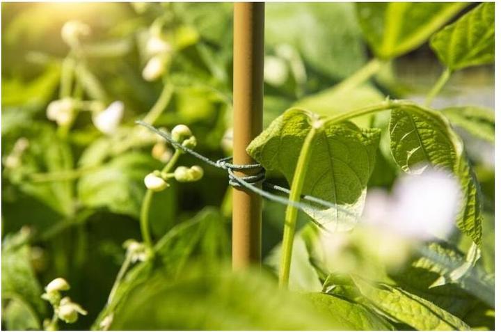 Immagine prodotto Windhager Filo di rango (0.14 cm)