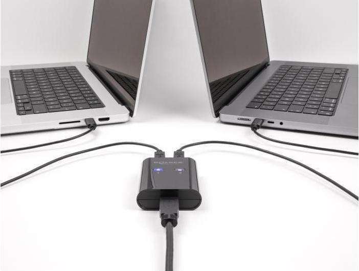 Image du produit Delock Commutateur USB 5 Gbps pour 2 PC vers 1 périphérique