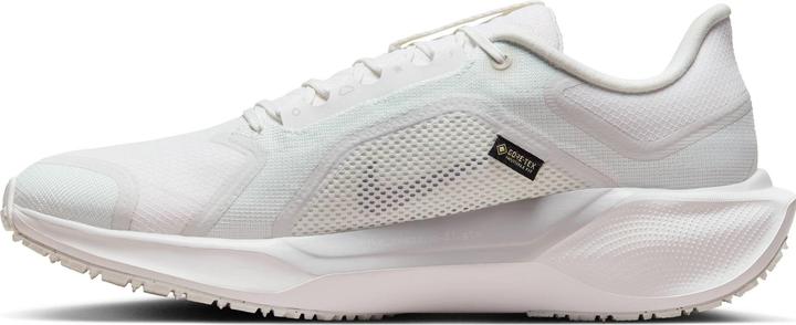 Produktbild Nike Pegasus 41 Gore-Tex (45.5)