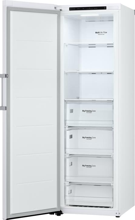 Actual product image LG GFT41SWGSZ (Stand-alone, 324 l)