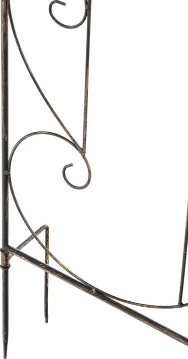 Actual product image CLP Mandevilla (1 cm, 99 cm)