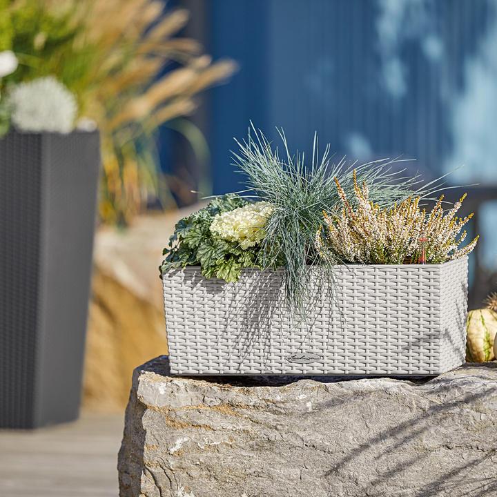 Actual product image Lechuza BALCONERA Cottage 40 Hellgrau (40 x 19 x 19 cm)