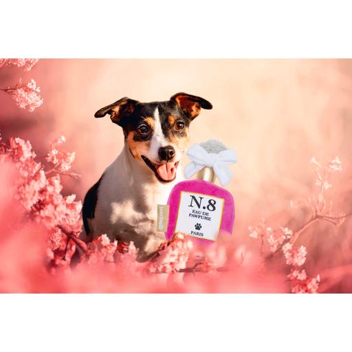Comparer les prix de Beeztees Hundekuschel Parfum (Jouet en peluche chien), Jouets pour chien