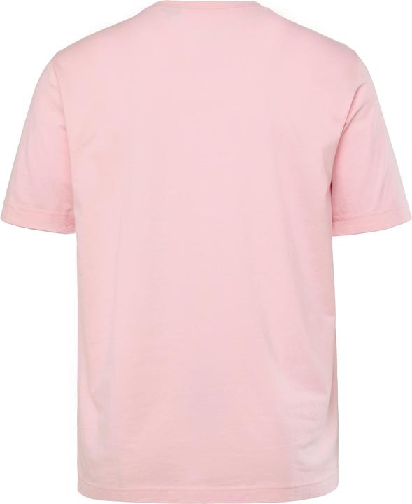 Actual product image JP1880 T-Shirt, Basic, Round neck, combed cotton, up to 8XL (5XL)