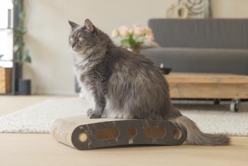 Produktbild Designed by Lotte Karton Kratzspielzeug Suvi (Schwarz)