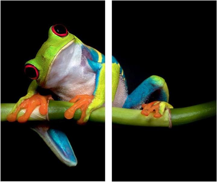 Image du produit Trenddeko Valverde - Green Frog