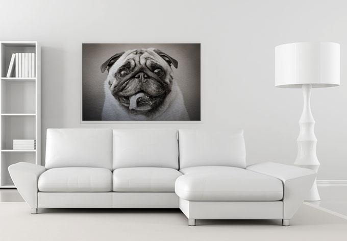 Actual product image Trenddeko Lovable pug (120 x 75 cm)