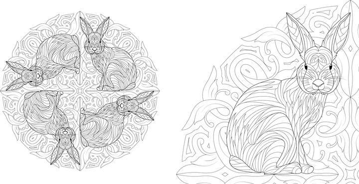 Actual product image Tier-Mandalas