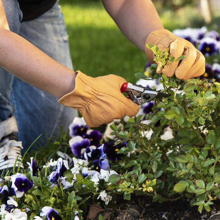 Immagine prodotto Felco 703L Guanti da giardinaggio in vera pelle, taglia L (L)