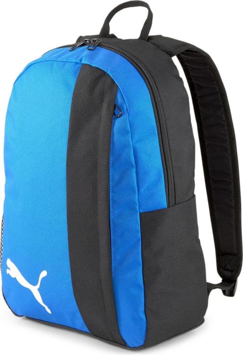 Actual product image Puma Team goal 23 (22 l)