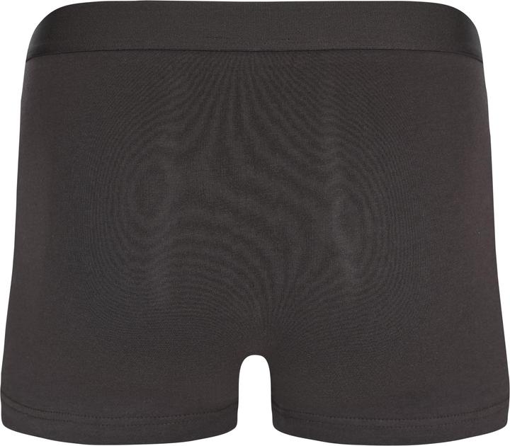 Actual product image FILA Man Boxer Elastic With Logo 2 Pieces Per Pack (L, pack of 2)