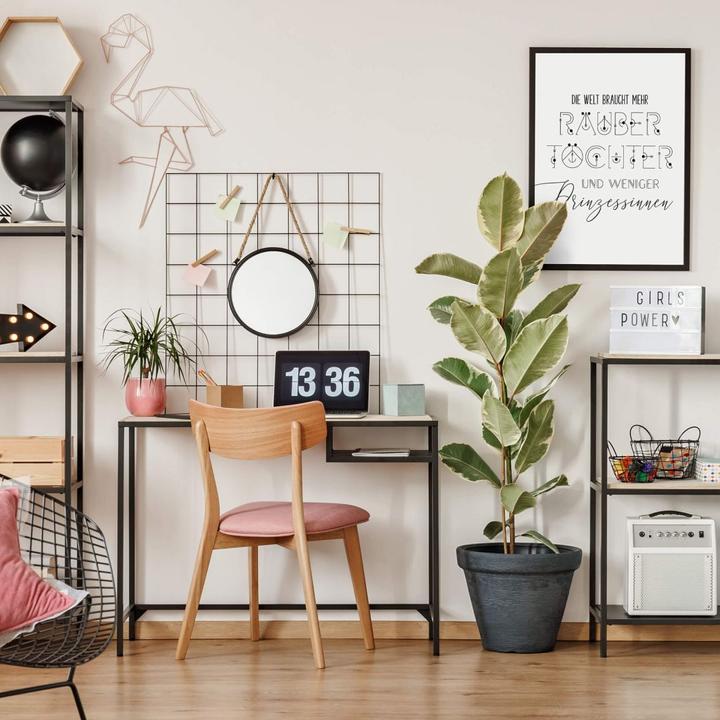 Image du produit Trenddeko Le monde a besoin de plus de filles de voleurs (40 x 50 cm)