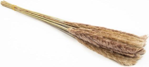 Produktbild Philippe Dekogras - ca. 80 cm - braun (80 cm)