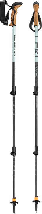 Black, dark sea green, Tuerkis