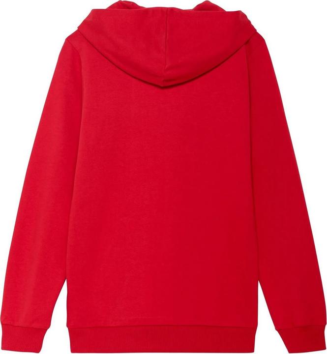 Produktbild Puma Team Goal Casuals Kapuzenpullover (152)