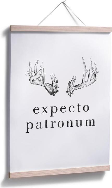 Produktbild Trenddeko Expecto Patronum (50 x 60 cm)