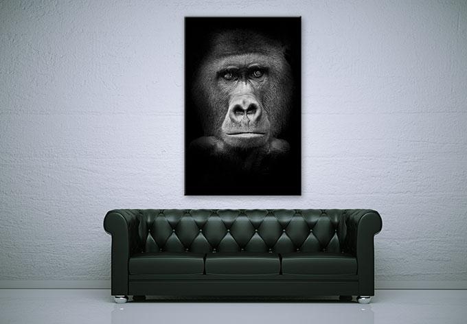 Image du produit Trenddeko gorille (100 x 150 cm)