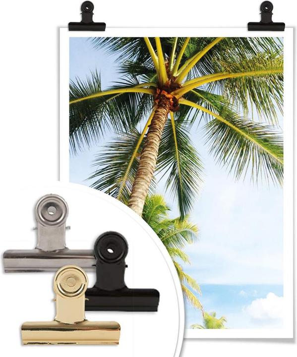 Image du produit Trenddeko Palms 07 (40 x 50 cm)