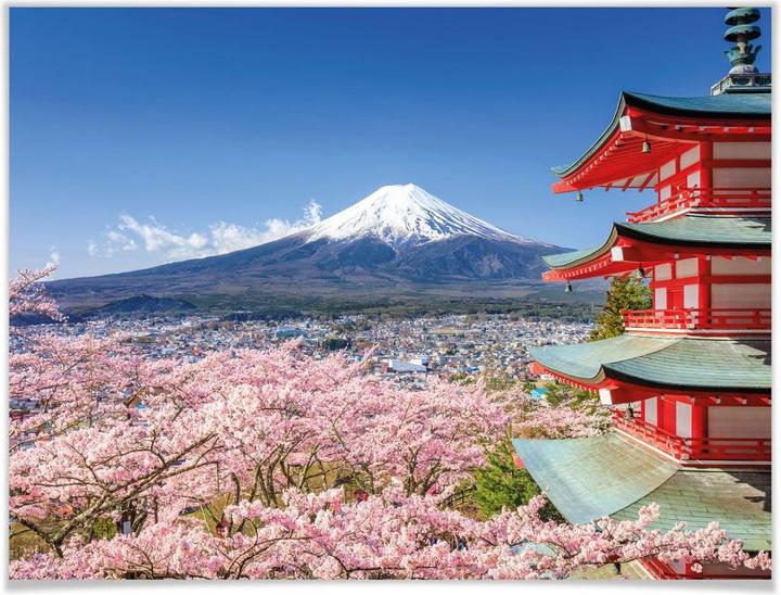 Image du produit Trenddeko Mont Fuji (60 x 50 cm)