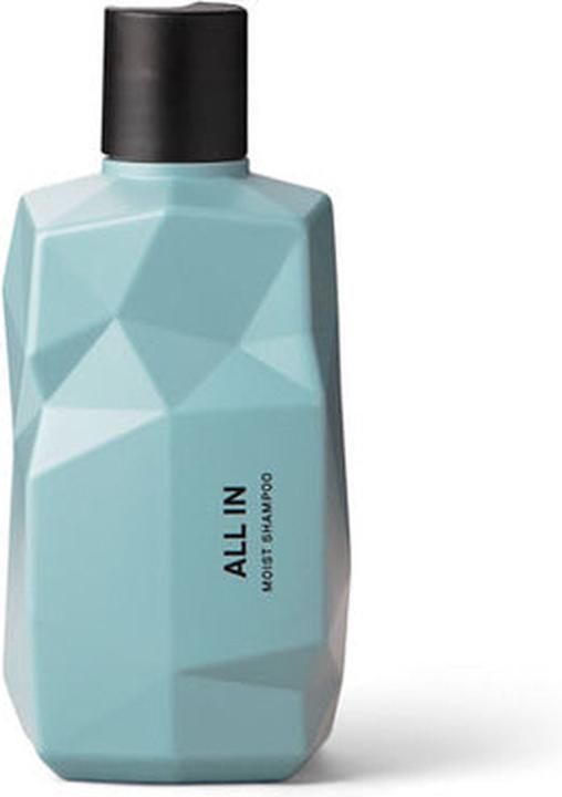 Produktbild Nine Yards All In Moist Shampoo Moisturizing Shampoo For Hair 300Ml (Flüssiges Shampoo, 300 ml)
