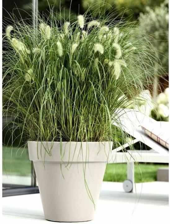 Elho Blumentopf 39 x 36 cm (39 x 36 cm)