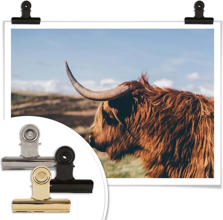 Image du produit Trenddeko Vache Highland 02 (50 x 40 cm)