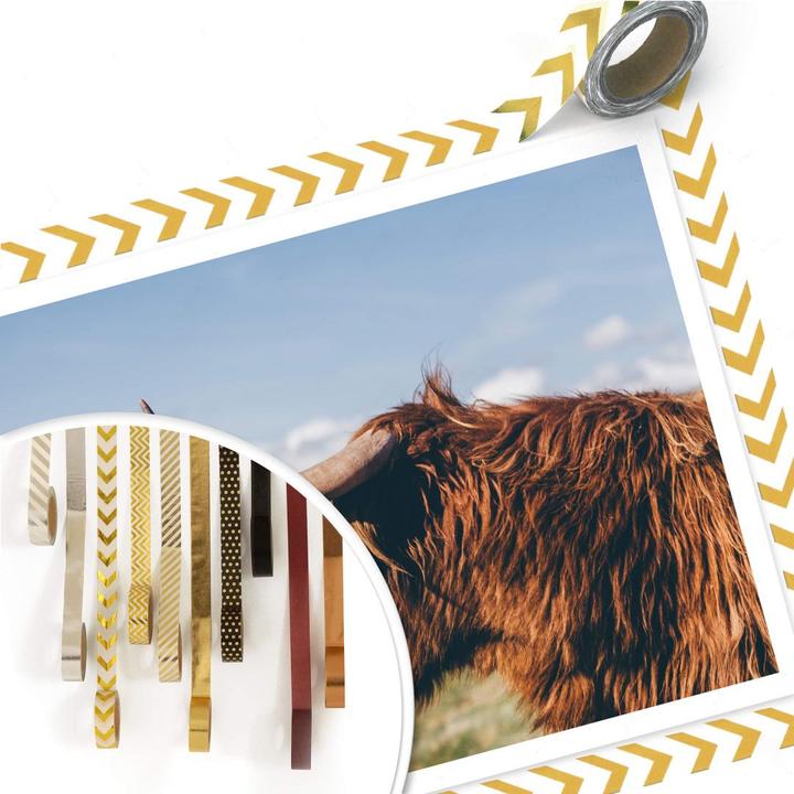 Image du produit Trenddeko Vache Highland 02 (50 x 40 cm)