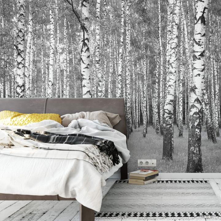 Produktbild Trenddeko Birkenwald 02 (384 x 300 cm)