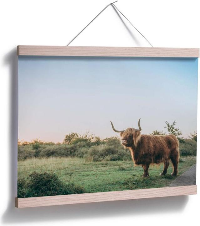 Image du produit Trenddeko Highland Cow 01 (60 x 80 cm)