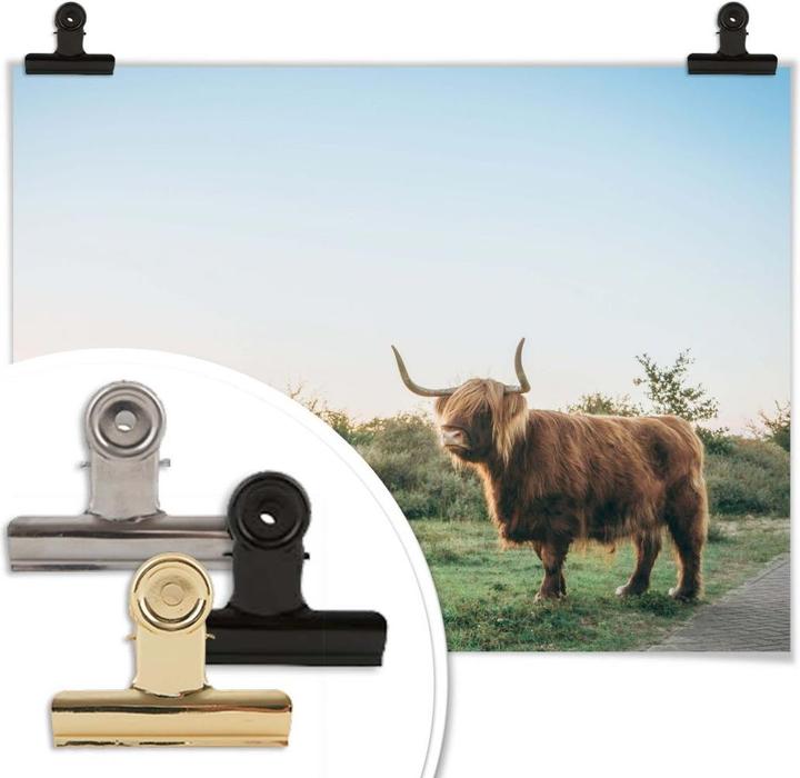 Image du produit Trenddeko Highland Cow 01 (60 x 80 cm)