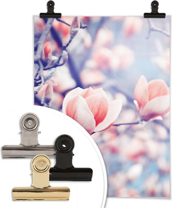 Immagine prodotto Trenddeko Germoglio di magnolia (30 x 40 cm)