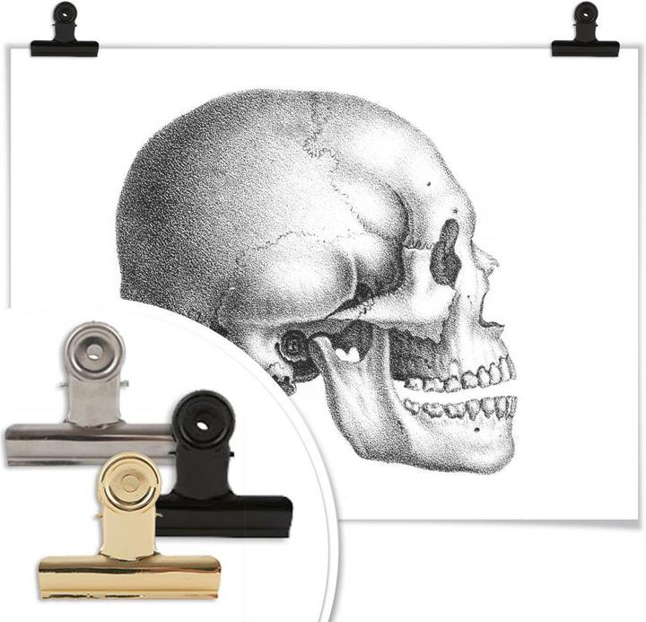 Actual product image Trenddeko Skull 01 (60 x 50 cm)