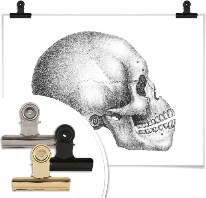 Actual product image Trenddeko Skull 02 (50 x 40 cm)