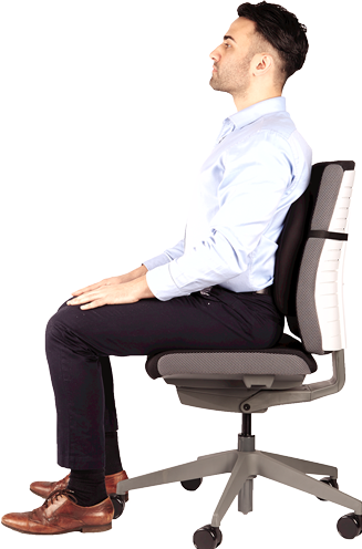 Actual product image Fellowes Back support Professonal Series