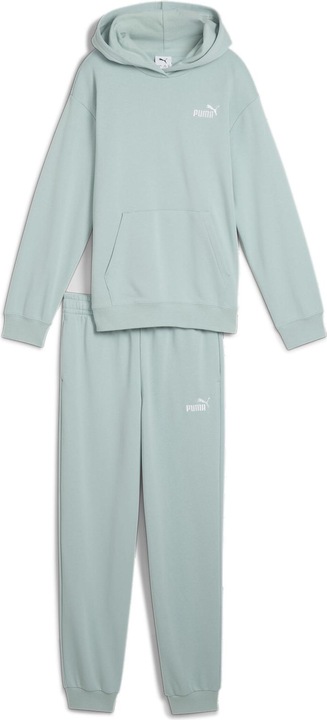 Actual product image Puma Loungewear Suit TR G (140)