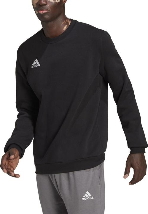 Actual product image adidas Entrada 22 sweatshirt men (XS)
