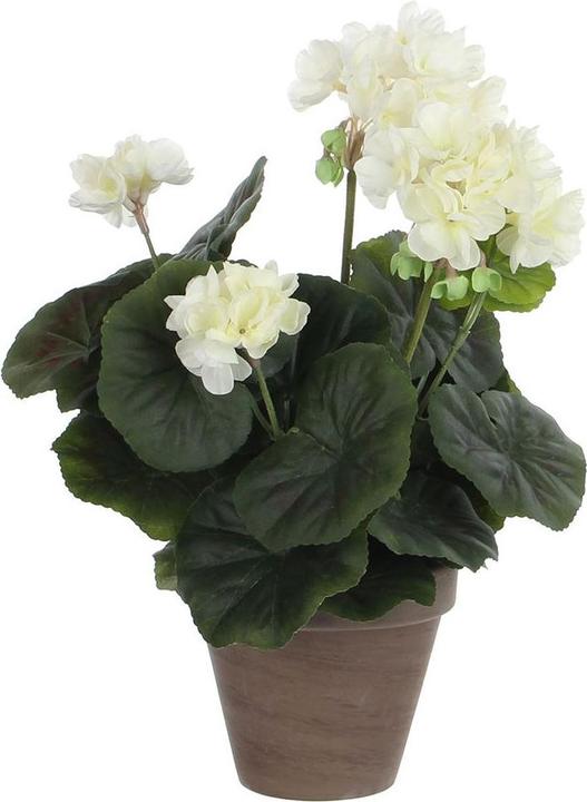 Mica Decorations Geranio (34 cm)