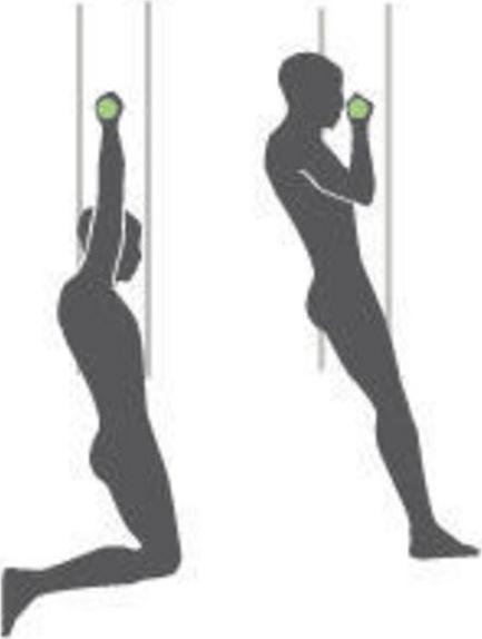 Actual product image Schildkröt Pull-up bar